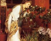 劳伦斯 阿尔玛 塔德玛 : 在绕柱式院子里